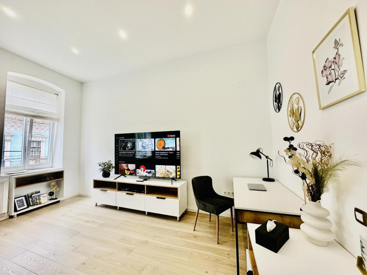 Clever Studio Near Central Shopping Center Cluj-Napoca Ngoại thất bức ảnh